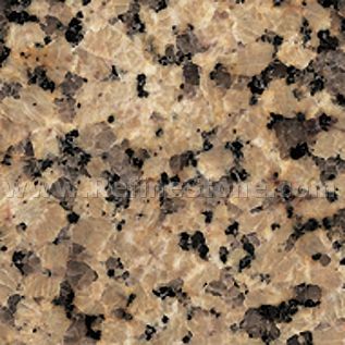 Chrysanthemum Yellow